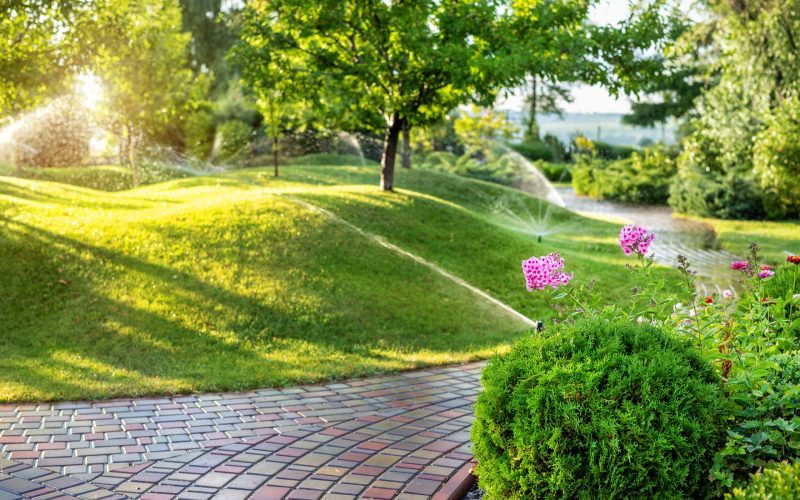 Automatic garden watering system with different sprinklers installed under turf. Landscape design with lawn hills and fruit garden irrigated with smart autonomous sprayers at sunset evening time.