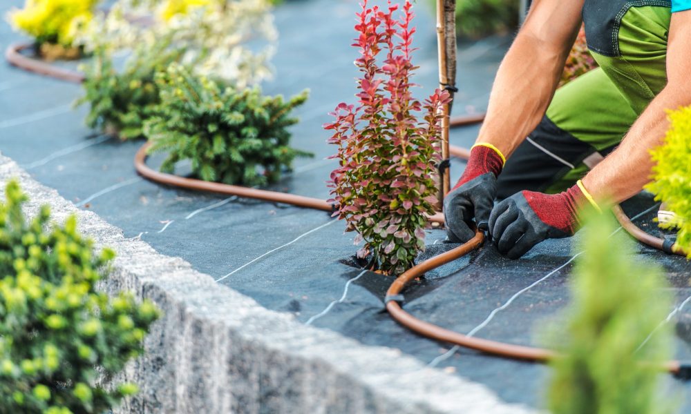 Residential Garden Irrigation System Building by Professional Landscaping and Gardening Technician.